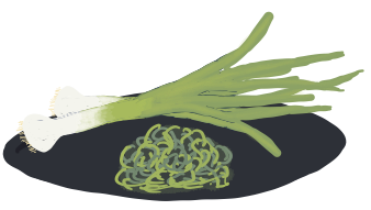 Spring onions