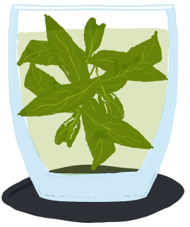 Peppermint Tea