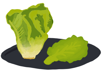 Lettuce